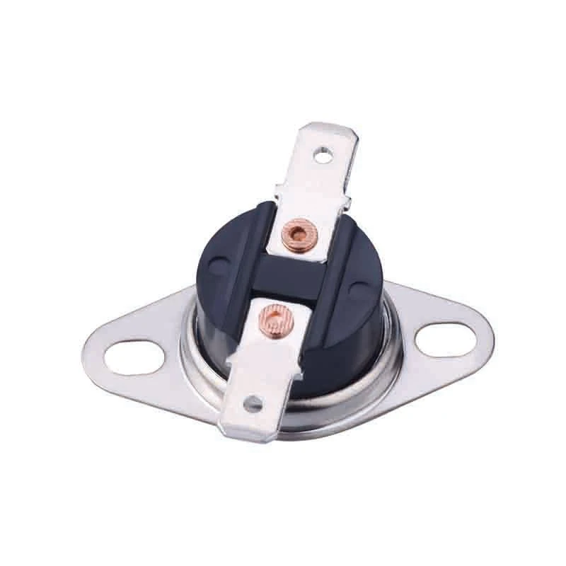 Bakelite Body Snap Action Thermostat suppliers