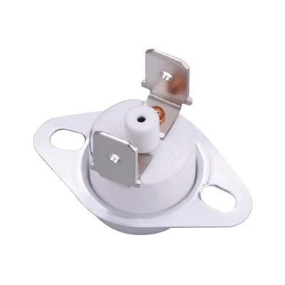 Ceramic Thermostat