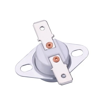 Manual Reset Thermostat